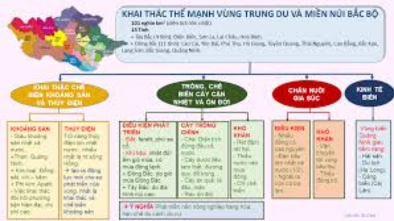 Địa lý kinh tế Việt Nam - Địa lý 12