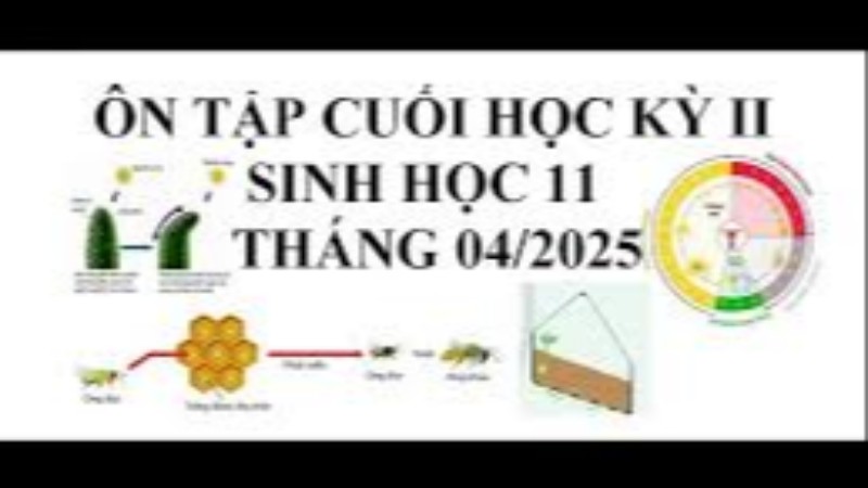 Sinh học 11 - Đề cuối kỳ 2 có đáp án